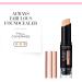 Bourjois Always Fabulous 24 Hour 2-in-1 Foundation and Concealer Stick with Blender - 200 Rose Vanilla - Buy Online on GoSupps.com