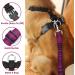 Buy Slowton Dog Harness with Safety Belt for Car - Breathable Latex Puppy Harness for Everyday Sports (Fuchsie XXS) | International Shipping - Buy Online on GoSupps.com