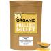 Organic Hulled Millet Grain (5lb) Be Still Farms - Whole Millet Seeds Bulk - Great for Cereal Little Millet Rice Grits Porridge Salad - High in Fiber | USA Grown | USDA Certified | Vegan | Non-GMO 5 lbs