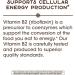 Natures Way Riboflavin Vitamin B2 100mg - Energy Support - 100 Capsules - Buy Online on GoSupps.com