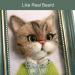 50 White Animal Whiskers for Crafts - Needle Felting Supplies - Buy Online on GoSupps.com