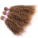 Buy Afro Kinky Curly Hair Weave - Golden Ombre Synthetic 20 Inch 3 Pieces (210g) #613 for Women - Buy Online on GoSupps.com
