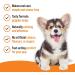 Mark & Chappell Teething Gel for Puppies - 1.75 oz | Soothes Teething Discomfort - Buy Online on GoSupps.com