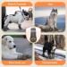 Buy Eyin Dog Shoes - Breathable Paw Protection & Non-Slip Sole for All Dog Sizes | 4 Pack Reflective Velcro Outdoor Sports | Size 8 Brown - Buy Online on GoSupps.com