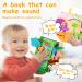 Akokie Montessori Baby Toys | Interactive Animal Books & Feel Books for 3-12 Months | Perfect for Boys & Girls - Buy Online on GoSupps.com
