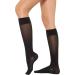 Healthweir Sheer Compression Knee High Stockings for Women - 15-20 mmHg (EU 18-22) - Comfortable & Stylish Support Socks - Buy Online on GoSupps.com