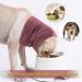 Anxiety Relief Dog Ear Cover | Calming Hood for Grooming & Bath | Pet Cats & Dogs Ear Protector (Medium) - Buy Online on GoSupps.com