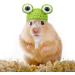 Xuniea Mini Hand Knitted Hat - Pet Costume Accessories for Small Animals - Buy Online on GoSupps.com