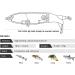 6PCS Bass Fishing Lure Set with Rotating Tail and Floating Design - Perfect Gift for Anglers | Hard Bait Fishing Lures Kit with Box - Ideal for Bass Fishing Enthusiasts - Buy Online on GoSupps.com