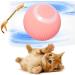 Wloom Power Ball 2.0 Cat Toy Aiveys Cat Ball Aiveys Smart Ball Cat Zombie Balls for Cats Playtime Gertar Cat Toy (Blue) - Buy Online on GoSupps.com
