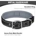 Joytale Extra Large Dog Collar - Softly Padded Neoprene Reflective Nylon Collar for XL Dogs - Black (1 Pack) - Buy Online on GoSupps.com