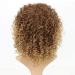 Buy Colourfulpanda Kinky Curly Afro Wig - Brown Blond Brazilian Synthetic Hair for Women | Short Ponytail Wigs for Black Women - Buy Online on GoSupps.com