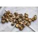 Golden Swan Dried Shiitake Mushrooms 1kg - Buy Online on GoSupps.com