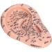 Silicone Ear Acupuncture Model for Laboratory Study | International Shipping Available - Buy Online on GoSupps.com