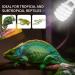 LUCKY HERP 23W 5.0 UVA UVB Reptile Light Bulb Tropical UVB 100 Compact Fluorescent Lamp UVB5.0 23W - Buy Online on GoSupps.com