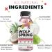 Natural Wolf Spring Dog Food Supplement for Adult Dogs | Skin, Coat & Joint Support | Digestive Health Multivitamin with Omega-3 | Plant Based Additive | 10oz (Pack of 24) - Buy Online on GoSupps.com