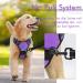 Rabbitgoo Medium Dog Harness - No Pull Adjustable Breathable with Reflex Stripes - Safe Control for Large Dogs - Purple (1 Pack) - Buy Online on GoSupps.com