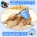 Adjustable XS Cat Collar - Foldable & Ideal for Post-Surgery Care | International Shipping - Buy Online on GoSupps.com