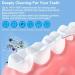 Shop Portable 360 Cleaning Flosser - 400ml Capacity 5 Modes 6 Tips for Braces - Black | International Shipping Available - Buy Online on GoSupps.com