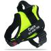 Pawpawify dog harnesses against pulling with personalized name and telephone number durable prevents tug pulling or choking for training and walking m chest 24-31in green