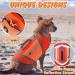 Emust Waterproof Dog Life Jacket - Comfortable Pet Vest for Boats Rafting & Canoeing - Medium Size with Rescue Handle & Leash D-Ring (Orange) - Buy Online on GoSupps.com