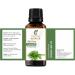 Buy 100% Pure Lovage Leaf Oil - Therapeutic Grade Essential Oil 33.81 Fl.Oz (1000ml) - Natural & Undiluted - International Shipping Available - Buy Online on GoSupps.com