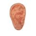 Ear Zone Model/Height 7 (XC-514A)