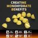 Creatine Monohydrate Gummies - Sugar Free Vegan 5g per Serving Pineapple Flavor - 120 Count for Men & Women - Buy Online on GoSupps.com