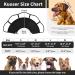 Kuoser Dog Protective Collar - Adjustable Comfy Cone for Post-Surgery Leak Protection Breathable Elisabethane - Ideal for Dogs & Cats - Black Medium - Buy Online on GoSupps.com