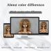 Xinran 14 Blonde Curly Afro Wig for Black Women - Brown to Blonde Mix - Synthetic 70s Kinky Afro Wig - Buy Online on GoSupps.com