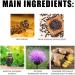 Bee Venom Lymphdrainage & Slimming Patch - 5 Boxes | Boost Weight Loss & Detox for Men & Women - Buy Online on GoSupps.com
