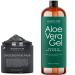 MAJESTIC PURE Dead Sea Mud Mask and Aloe Vera Gel Bundle Dead Sea Mask 8.8 fl oz Aloe Vera Gel 16 fl oz