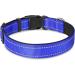 Shop Joytale Reflective Dog Collar for Large & XL Dogs - Royal Blue (Pack of 1) | Durable & Stylish - Buy Online on GoSupps.com