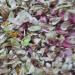 PUB Kamal Phool Dry - Kamal Ful - Dried Lotus Flower - Nelumbo Nucifera (50 GMS) - Buy Online on GoSupps.com