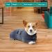 Pettom Dog Bathrobe | Extra Absorbent Microfiber Dry Coat for Medium-Sized Dogs (S Gray) - Fast Drying Dog Bumper - Buy Online on GoSupps.com