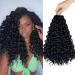 8 Packs GoGo Curl Crochet Hair 14 Inch Curly Crochet Hair for Black Women Natural Black Beach Curl Crochet Hair Water Wave Deep Twist Crochet Hair Synthetic Braiding Hair 14 Inch (Pack of 8) 1B