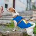 Personalized Custom Dog T-Shirt | Custom Clothing Design with Photo & Name for Large Dogs Puppies & Cats - Blue - Buy Online on GoSupps.com