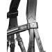 WALDHAUSEN X-Line Standard Bridle Canc n - Black Stainless Steel for Thoroughbreds & Cobs | International Shipping Available - Buy Online on GoSupps.com