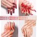 288 Pieces Extra Long Press on Nails 12 Solid Colours Ballerina False Nails Full Cover Fake Nails Artificial Nail Tips for Women Girls (Ballerina Nails) - Buy Online on GoSupps.com