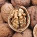 The Walnut From France New Harvest 5 Kg - Walnuts From New Harvest/Whole Raw and Untreated Walnuts 100% Natural (5KG)