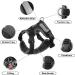 Adjustable Reflective Black XL Cat Harness and Leash Set - Escape Proof Vest for Cats and Dogs - Buy Online on GoSupps.com