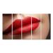 islandburner Image on Canvas Cosmetics Makeup Gloss Lipstick On Lips Closeup of Beautiful Female Mouth with Red and Pink Lipp Makeup Part Of Face Wall Living Room Home Office Bedroom Images GBEN-5Px