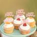 Ercadio 24 Pack Happy Birthday Cupcake Toppers Light Pink Glitter Birthday Cupcake Picks for Baby Shower Kids Birthday Anniversary Party Cake Decorations Supplies Pattern 3 Light Pink - Buy Online on GoSupps.com