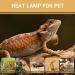 Caldarax 75W Reptile Heat Lamp - 2 Pack E27 UVA Basking Spot Light for Turtles & Lizards - Optimal Terrarium Sun Lamp - Buy Online on GoSupps.com