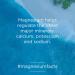 Natural Vitality Natural Calm Ionic Magnesium Citrate Powder 8 OZ - Essential Relaxation Supplement - Buy Online on GoSupps.com