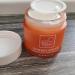 Suntegrity Synergy NiteFix Renewal Cream 2oz - Wake Up with Radiant Skin - International Shipping Available - Buy Online on GoSupps.com