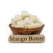 Mango Body Butter 8 oz - 100% Pure Raw Natural Cold Pressed for Skin & Hair Growth | DIY Creams Balms Lotions Soaps - International Shipping - Buy Online on GoSupps.com