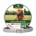 Dewel tick collar for large dogs cats natural tick collar for dogs cats protection against fleas mites vermin larvae lice waterproof adjustable anti -flea collar cat 63.5cm