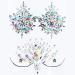 Kotbs Body Jewels Rhinestone Sticker  2-Sheet Mermaid Chest Gems and Breast Pasties Jewelry Makeup Set  Body Art Gems Temporary Tattoos for Halloween Festival Rave Party Outfit BCG-2-FAN