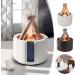 Bonfire Diffuser Mini Bonfire Humidifier Campfire Aroma Diffuser Remote Control Wood Shape Cool Mist Humidifier Campfire Humidifier Bonfire Essential Oil Diffuser Aromatherapy Humidifier (White) - Buy Online on GoSupps.com